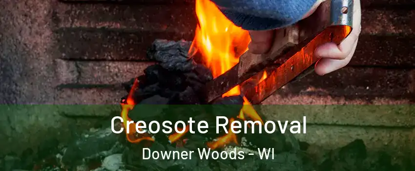 Creosote Removal Downer Woods - WI