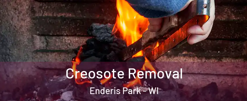 Creosote Removal Enderis Park - WI