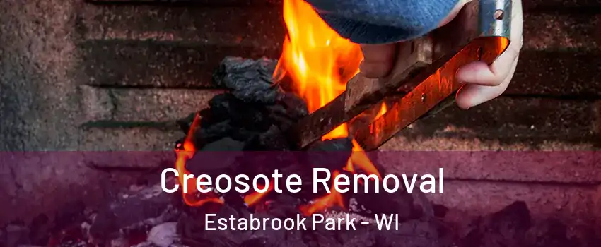 Creosote Removal Estabrook Park - WI