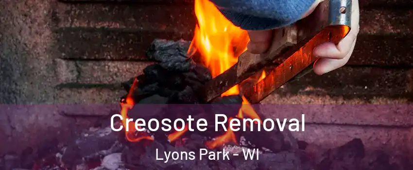 Creosote Removal Lyons Park - WI