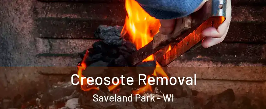 Creosote Removal Saveland Park - WI