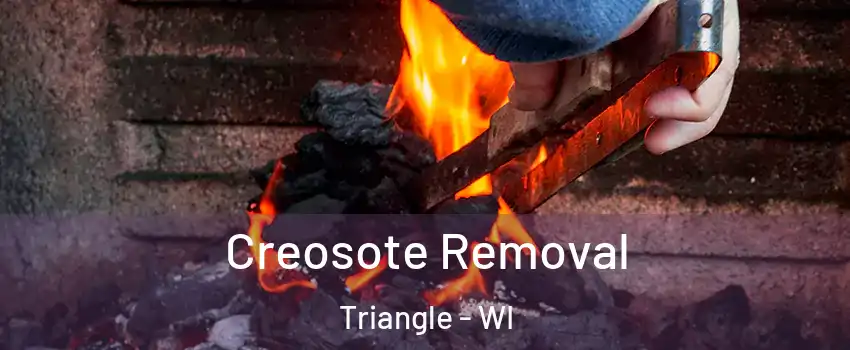 Creosote Removal Triangle - WI