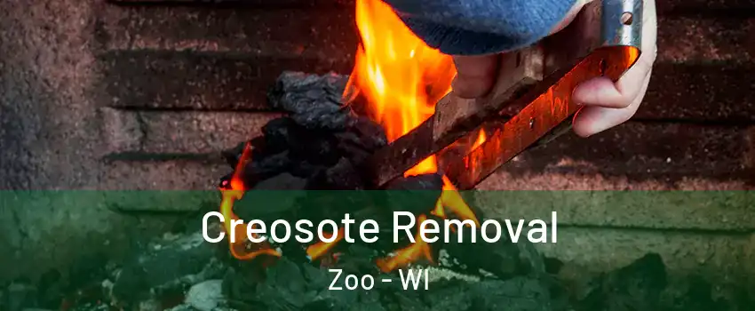 Creosote Removal Zoo - WI