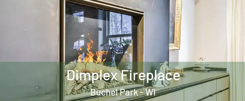 Dimplex Fireplace Buchel Park - WI