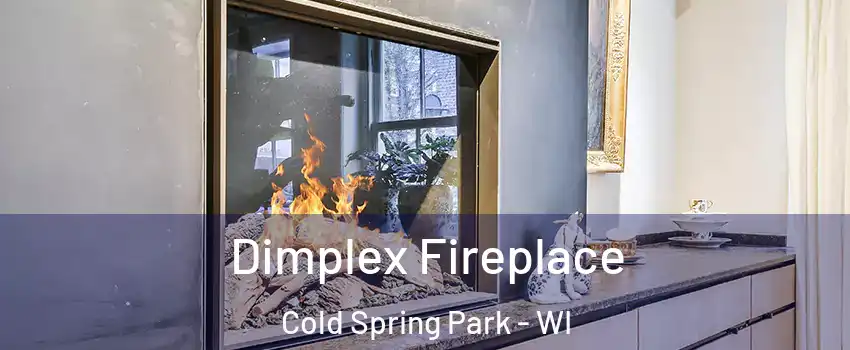 Dimplex Fireplace Cold Spring Park - WI