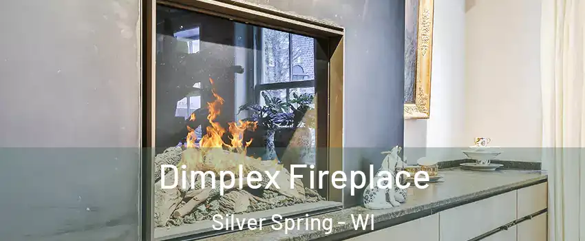 Dimplex Fireplace Silver Spring - WI