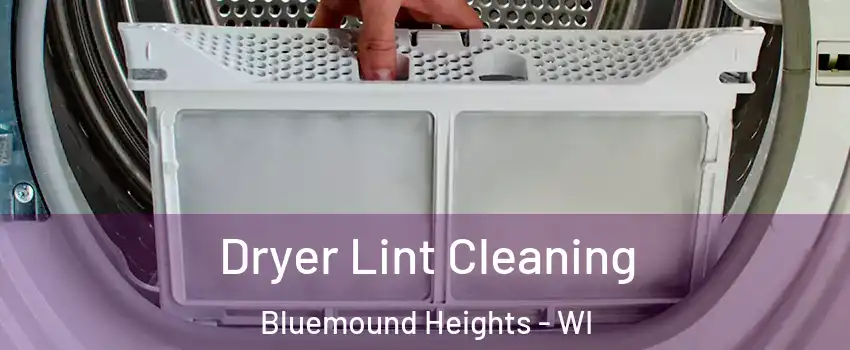 Dryer Lint Cleaning Bluemound Heights - WI