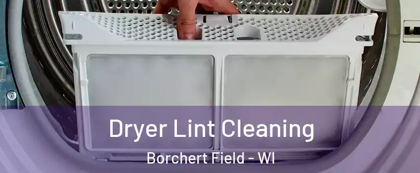 Dryer Lint Cleaning Borchert Field - WI