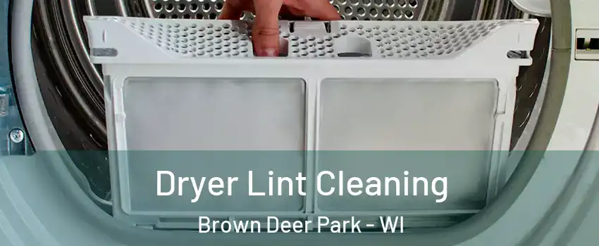 Dryer Lint Cleaning Brown Deer Park - WI