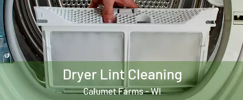 Dryer Lint Cleaning Calumet Farms - WI