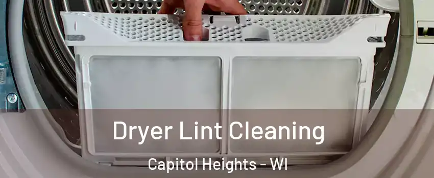 Dryer Lint Cleaning Capitol Heights - WI