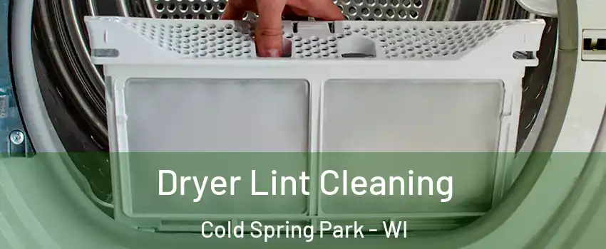 Dryer Lint Cleaning Cold Spring Park - WI