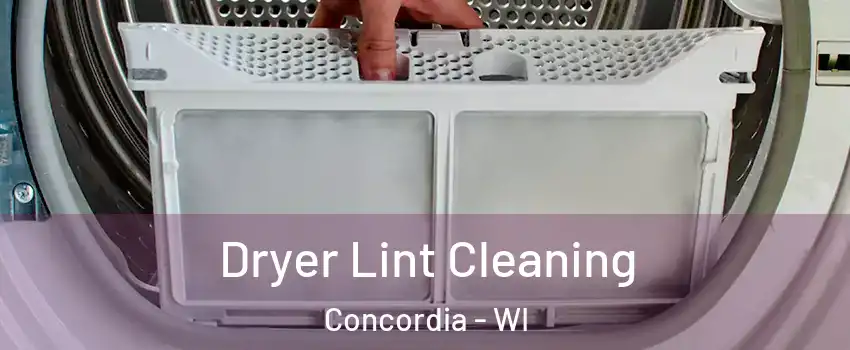 Dryer Lint Cleaning Concordia - WI