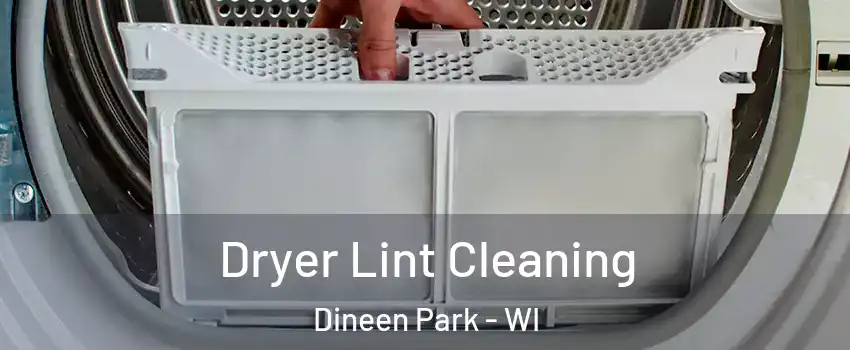 Dryer Lint Cleaning Dineen Park - WI