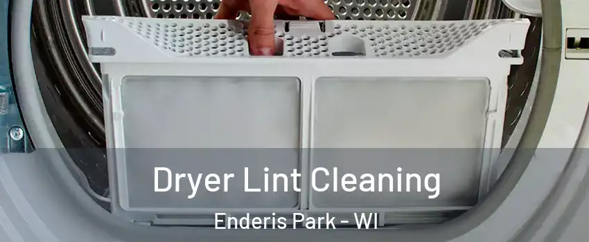 Dryer Lint Cleaning Enderis Park - WI