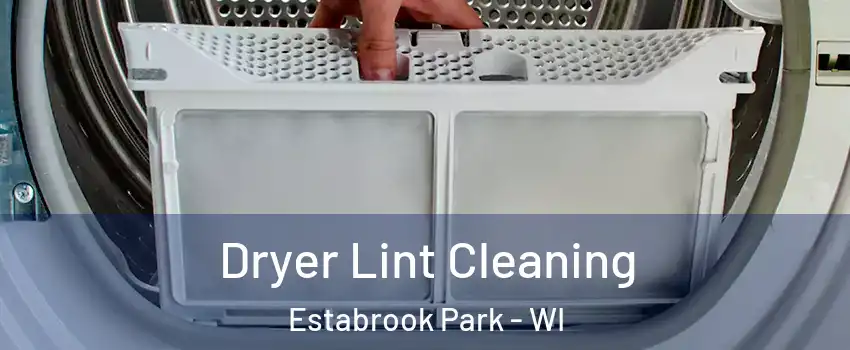 Dryer Lint Cleaning Estabrook Park - WI