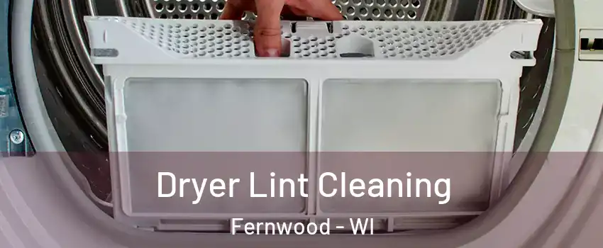 Dryer Lint Cleaning Fernwood - WI