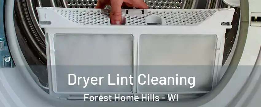 Dryer Lint Cleaning Forest Home Hills - WI