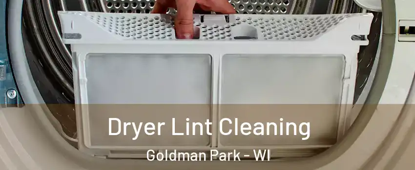 Dryer Lint Cleaning Goldman Park - WI