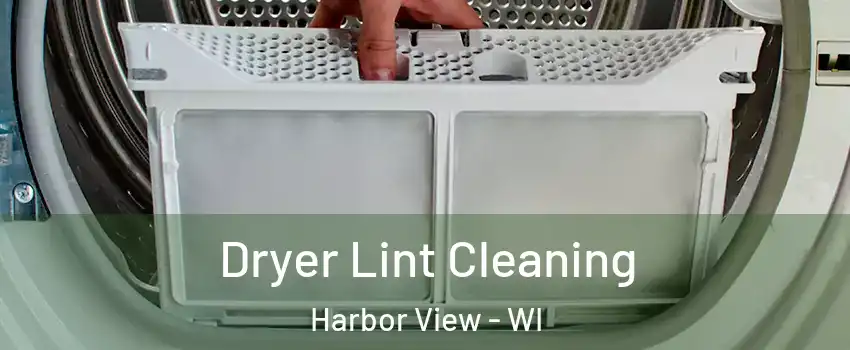 Dryer Lint Cleaning Harbor View - WI