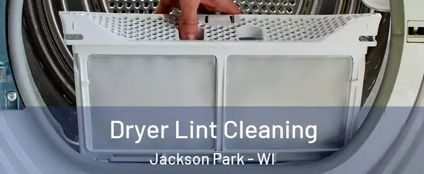 Dryer Lint Cleaning Jackson Park - WI