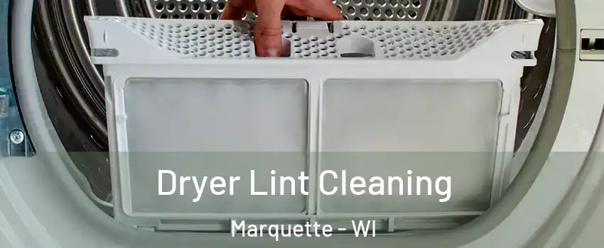 Dryer Lint Cleaning Marquette - WI