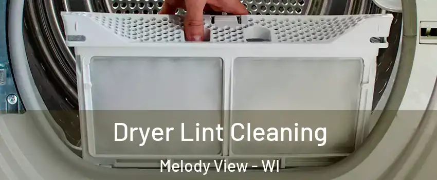 Dryer Lint Cleaning Melody View - WI