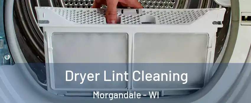 Dryer Lint Cleaning Morgandale - WI