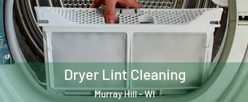 Dryer Lint Cleaning Murray Hill - WI