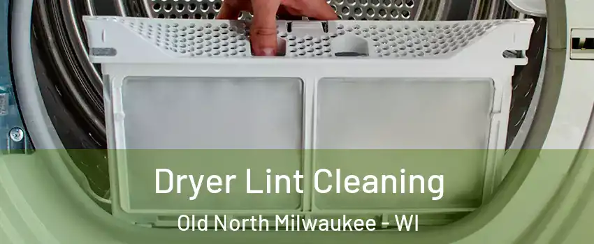 Dryer Lint Cleaning Old North Milwaukee - WI