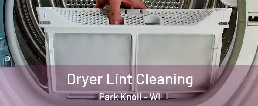 Dryer Lint Cleaning Park Knoll - WI