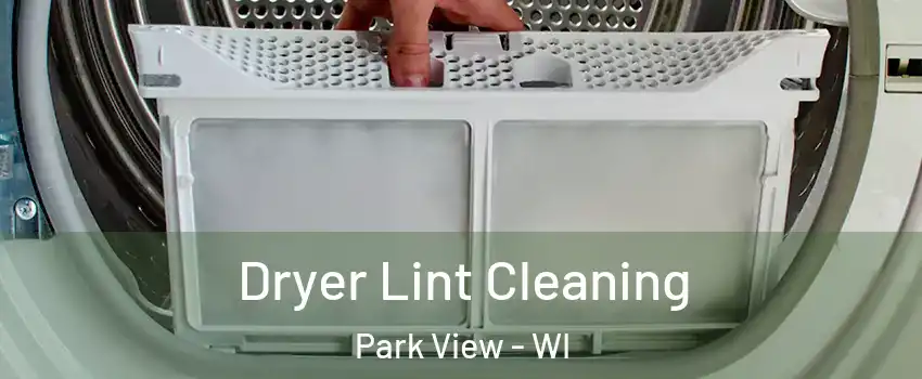 Dryer Lint Cleaning Park View - WI