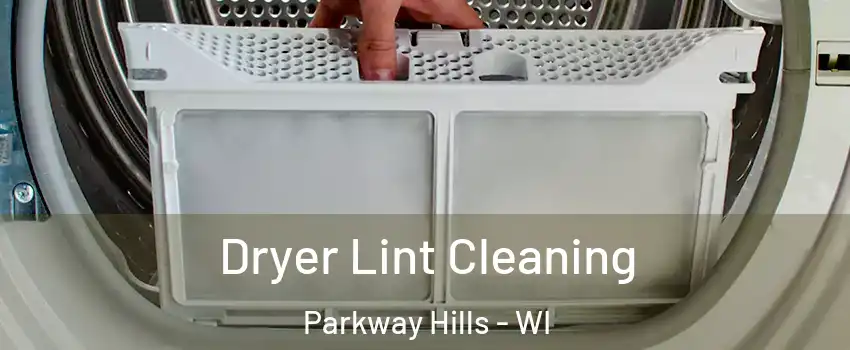 Dryer Lint Cleaning Parkway Hills - WI