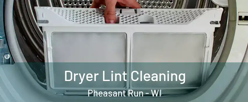 Dryer Lint Cleaning Pheasant Run - WI