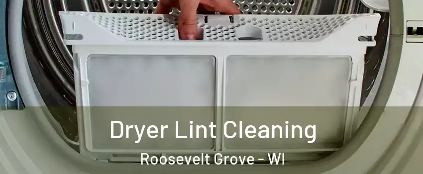 Dryer Lint Cleaning Roosevelt Grove - WI