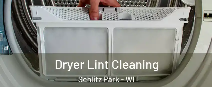 Dryer Lint Cleaning Schlitz Park - WI