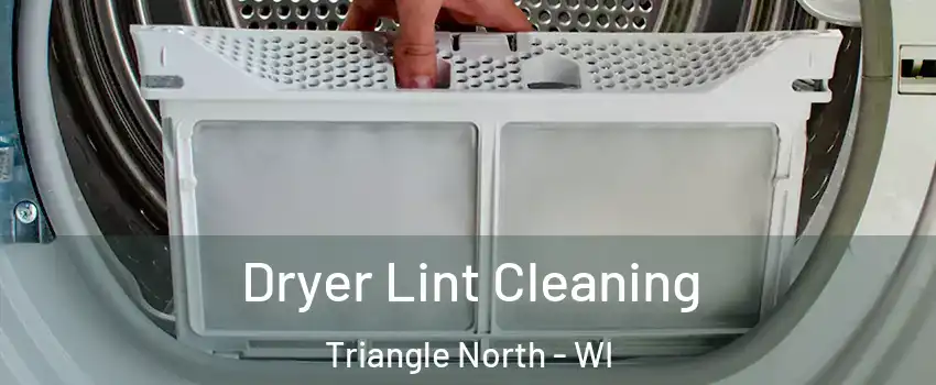 Dryer Lint Cleaning Triangle North - WI