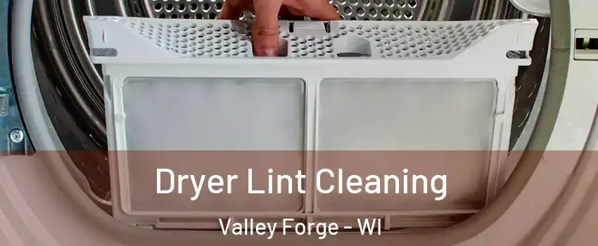 Dryer Lint Cleaning Valley Forge - WI