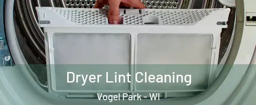 Dryer Lint Cleaning Vogel Park - WI