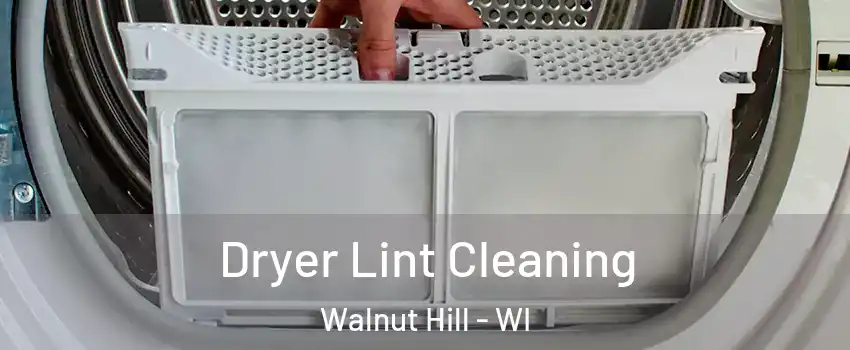 Dryer Lint Cleaning Walnut Hill - WI