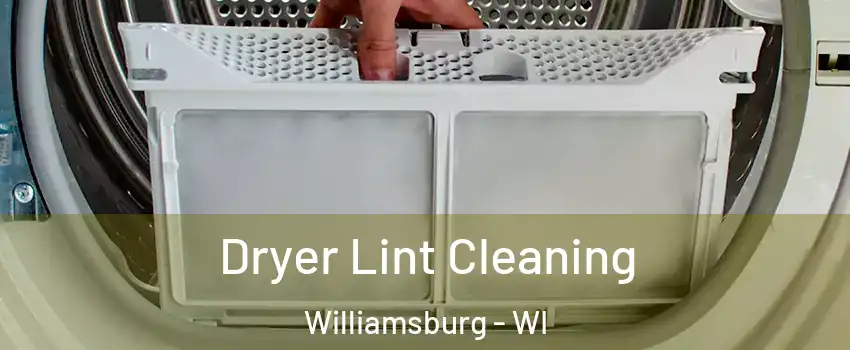 Dryer Lint Cleaning Williamsburg - WI