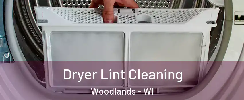 Dryer Lint Cleaning Woodlands - WI