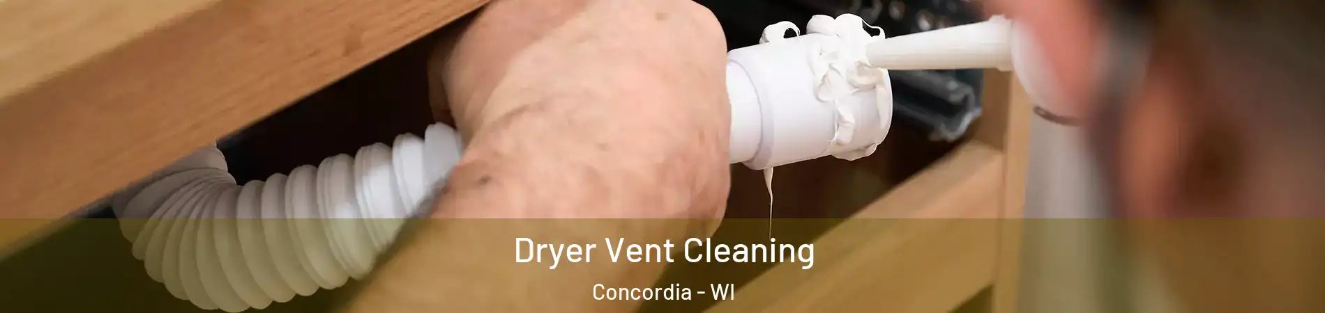 Dryer Vent Cleaning Concordia - WI