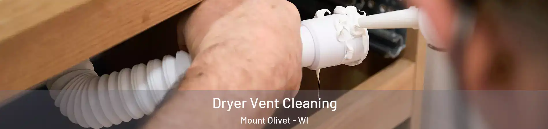 Dryer Vent Cleaning Mount Olivet - WI