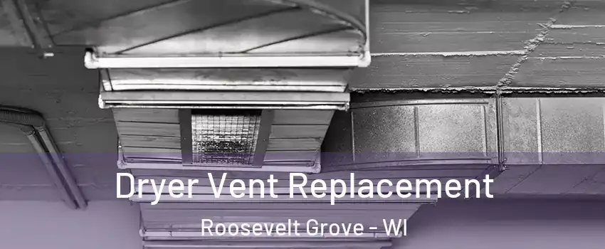 Dryer Vent Replacement Roosevelt Grove - WI