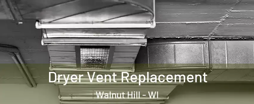 Dryer Vent Replacement Walnut Hill - WI