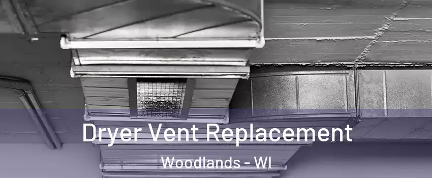 Dryer Vent Replacement Woodlands - WI