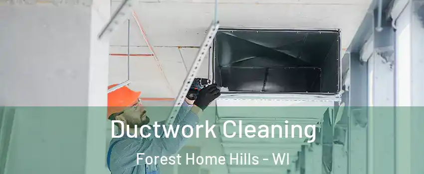 Ductwork Cleaning Forest Home Hills - WI