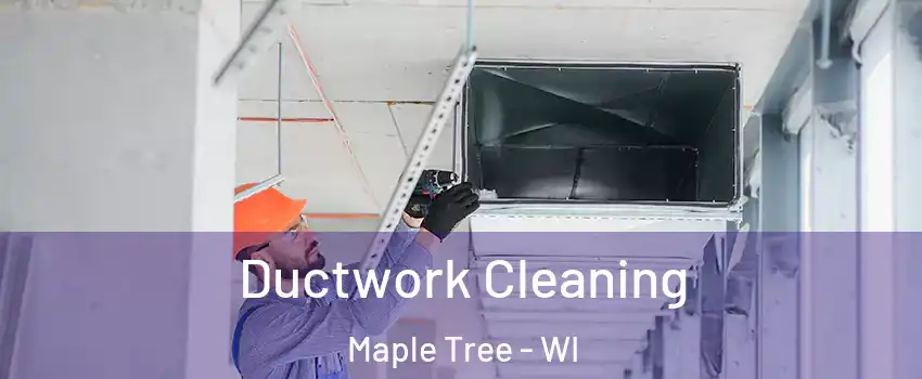 Ductwork Cleaning Maple Tree - WI