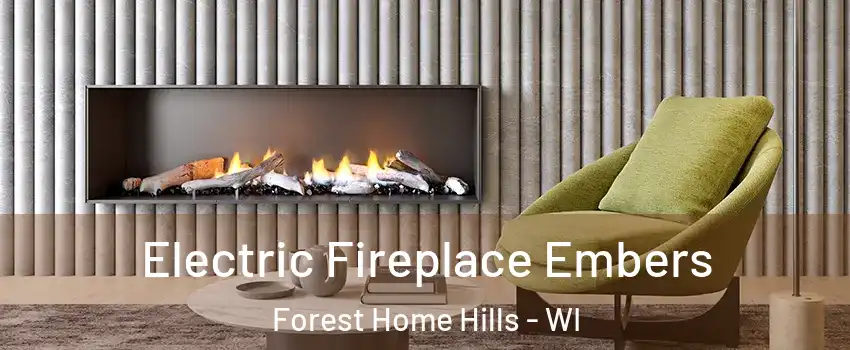 Electric Fireplace Embers Forest Home Hills - WI